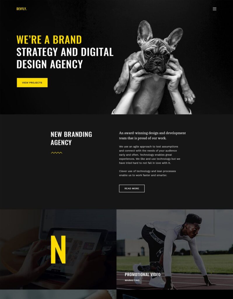 现代和创意机构和投资组合PSD模板网站素材Devfly Modern Creative Agency PSD Template插图1