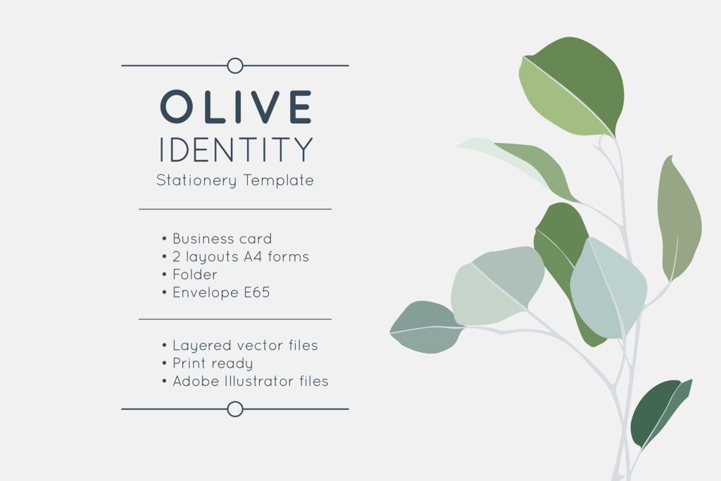 橄榄枝信纸模板样机素材下载Olive Identity Stationery Template插图1