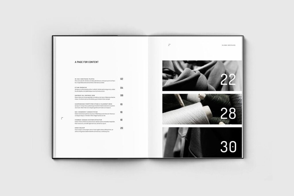 时尚摄影现代简单独特版式画册杂志模板素材下载Brochure V8GMPQ插图2