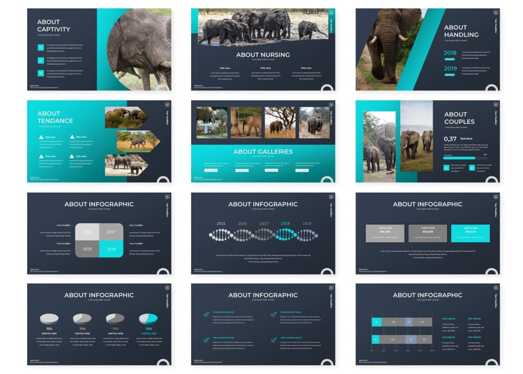 大象品种研究调研主推汇报宣讲PPT幻灯片模板素材Elephant Powerpoint Template插图2