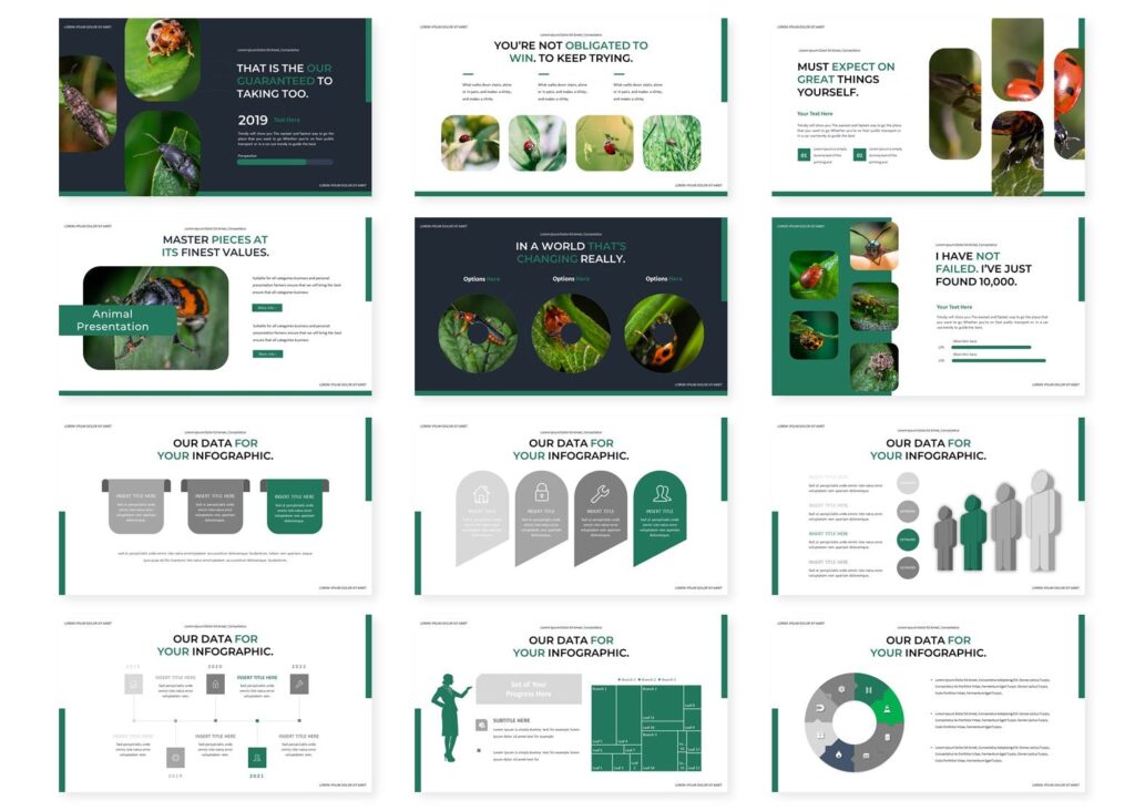 昆虫类研究调研PPT幻灯片模板Melata Powerpoint Template插图2