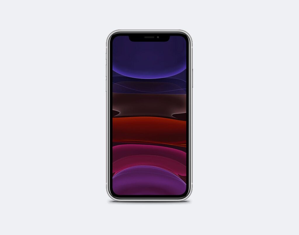 2019款iPhone 11多种颜色样机模板素材下载iPhone 11 Mockup N7G32RZ插图2