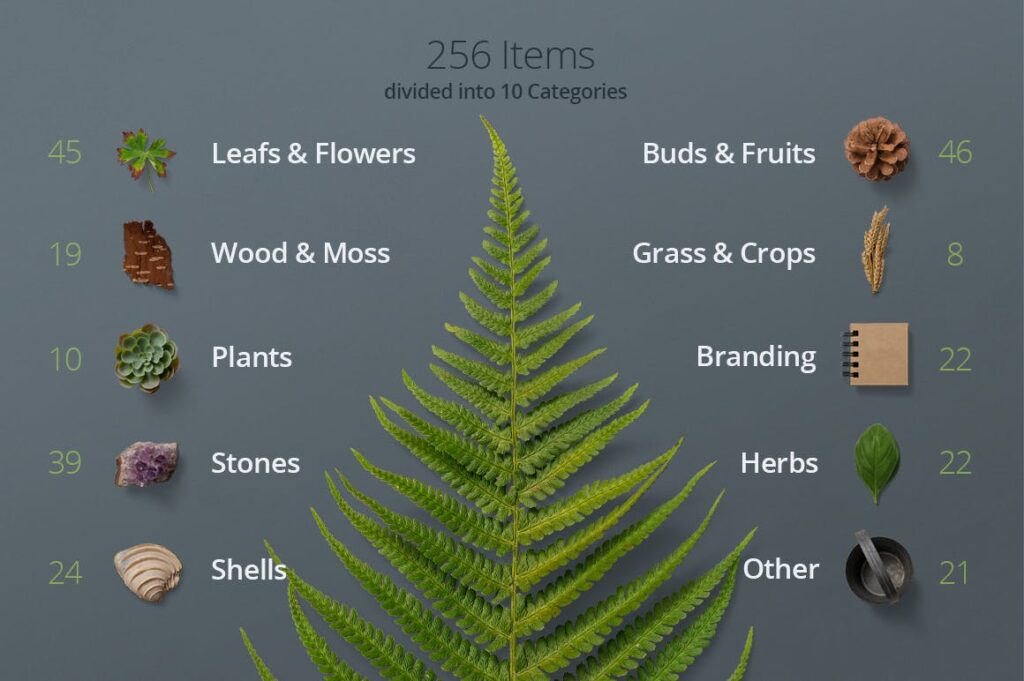 植物自然品牌VI生成器素材合集Nature Scene Generator插图3