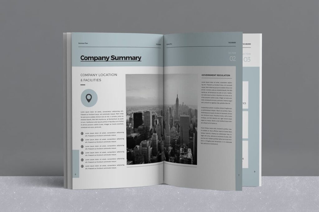 业务介绍商业规划模板画册展示The Business Plan插图3