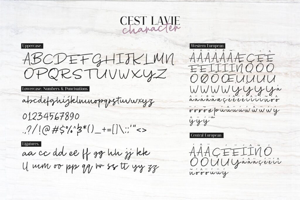 男士高端服装品牌装饰英文手写字体下载Cest Lavie Font Duo插图4