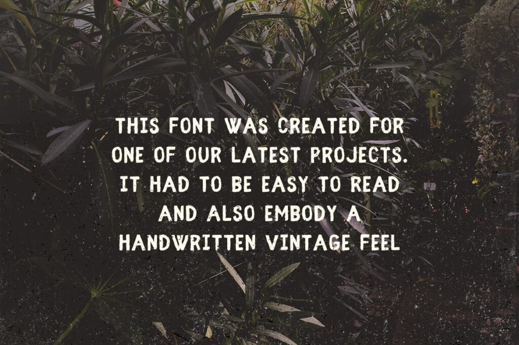 手写复古英文无衬线字体Fibre Vintage Font插图4