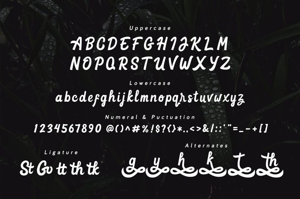 简约文艺邀请贺卡手写英文字体Goteru Eyecatching Script Font插图4