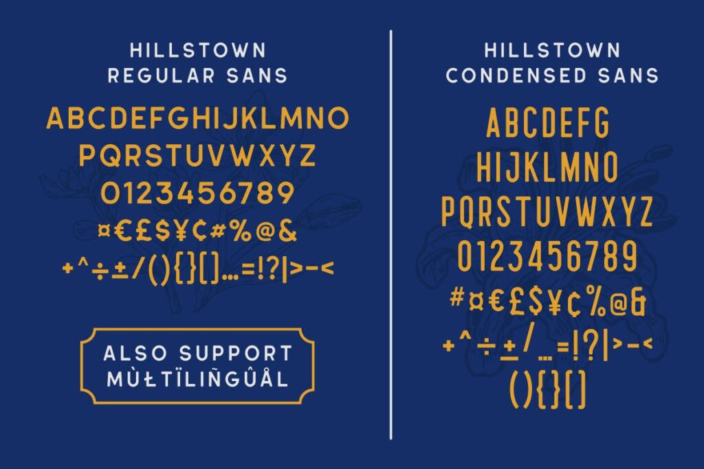标志组合字体/手写英文字体Hillstown Font Collection (+EXTRA)插图4