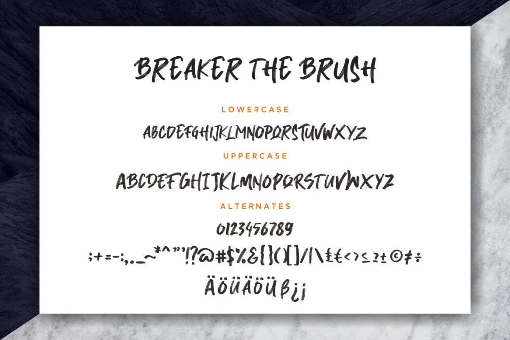 产品服装包装装饰英文字体Breaker The Brush Typeface插图4