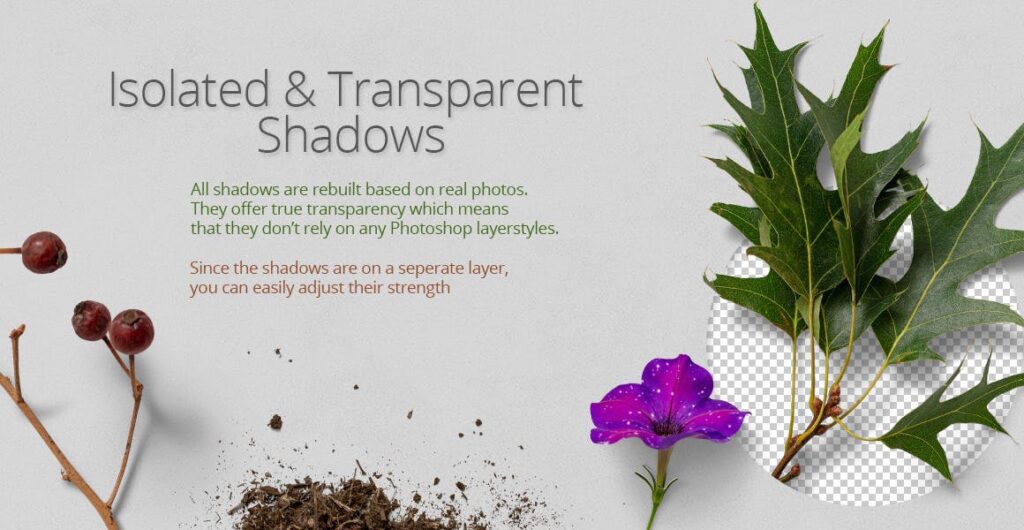 植物自然品牌VI生成器素材合集Nature Scene Generator插图6