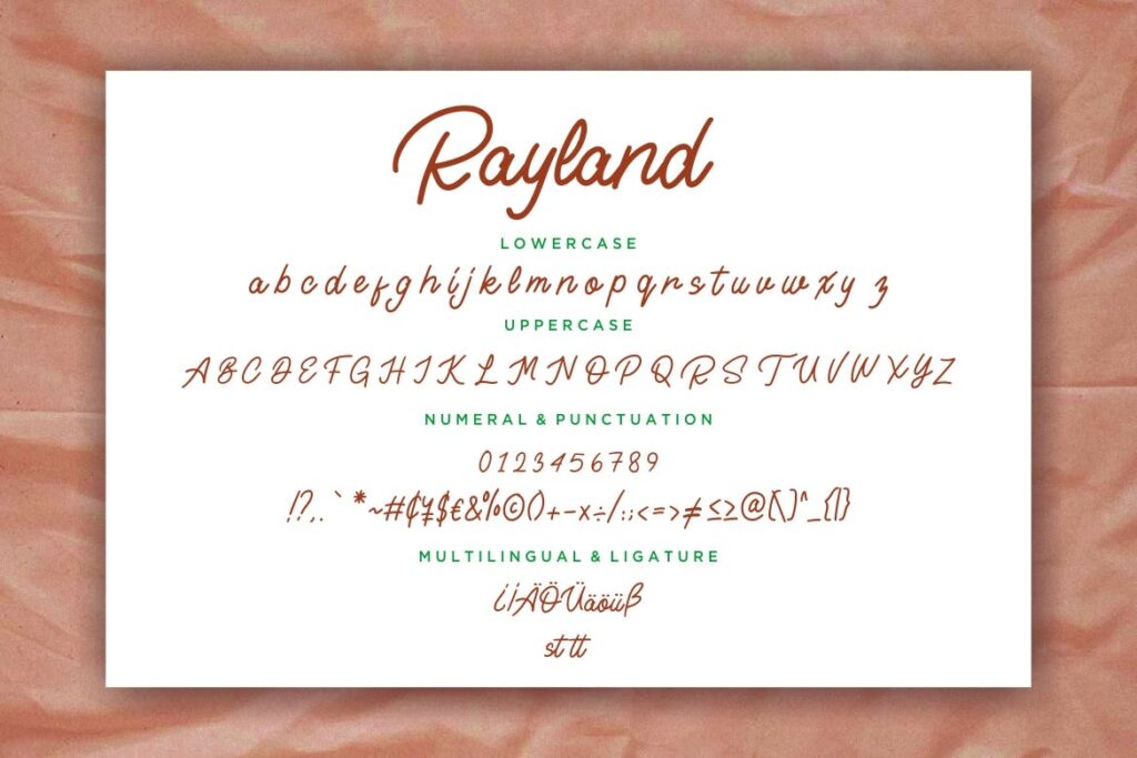 项目签名单线时尚手写字体/美食品牌包装字体下载Rayland Signature Monoline插图6