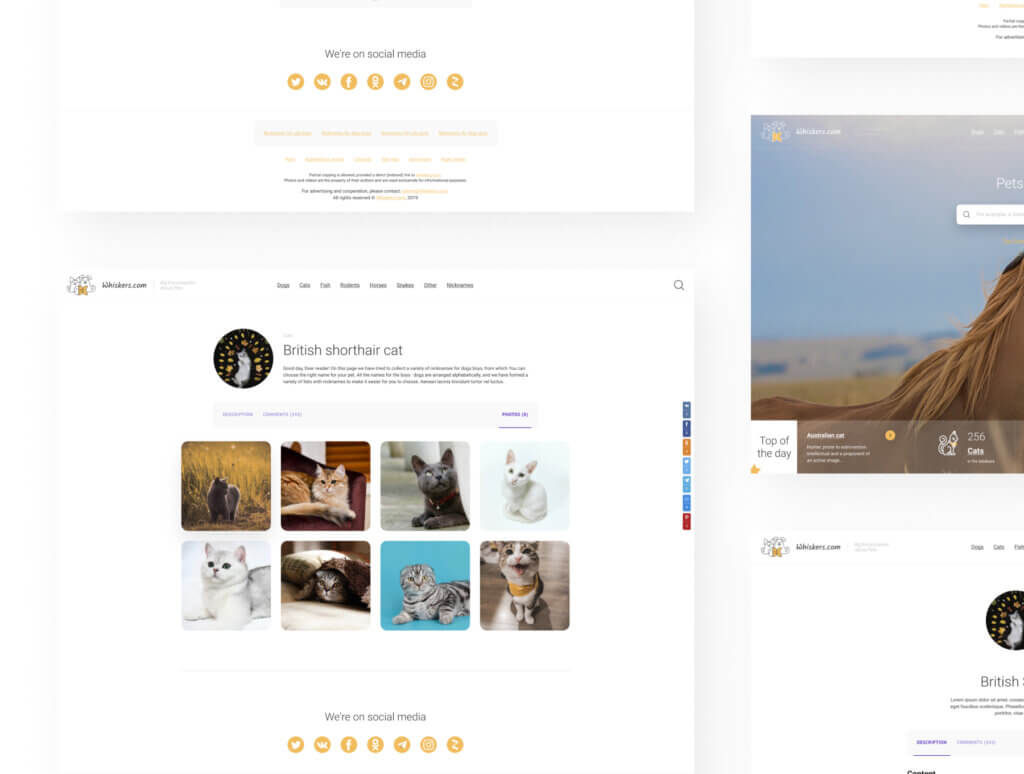 宠物网站介绍矢量网站素材模板下载Whiskers — Web Template About Pets插图5