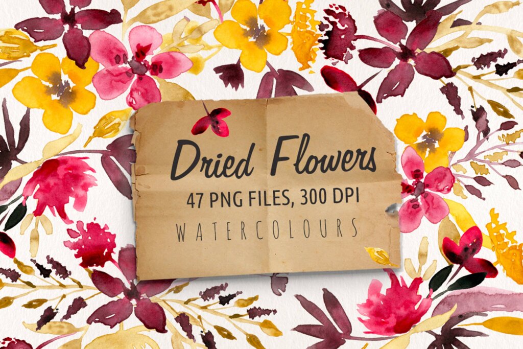 邀请函/信封图案装饰图案纹理素材下载Dried Flowers W8VR7H