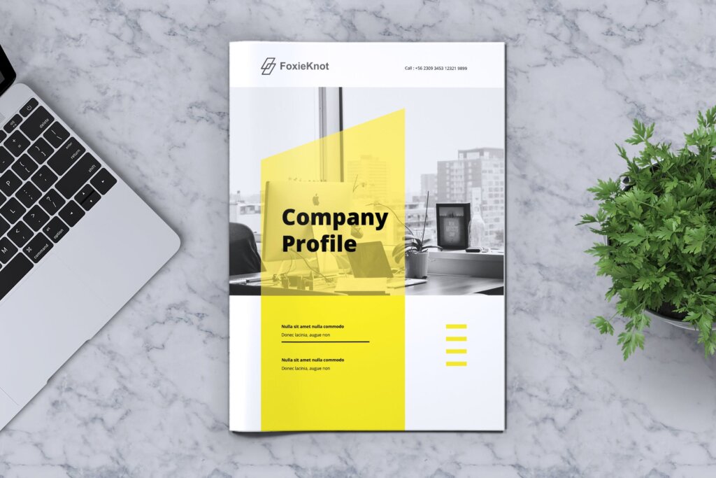 公司简介传单小册子海报模板素材下载FOXIEKNOT Company Profile Brochure