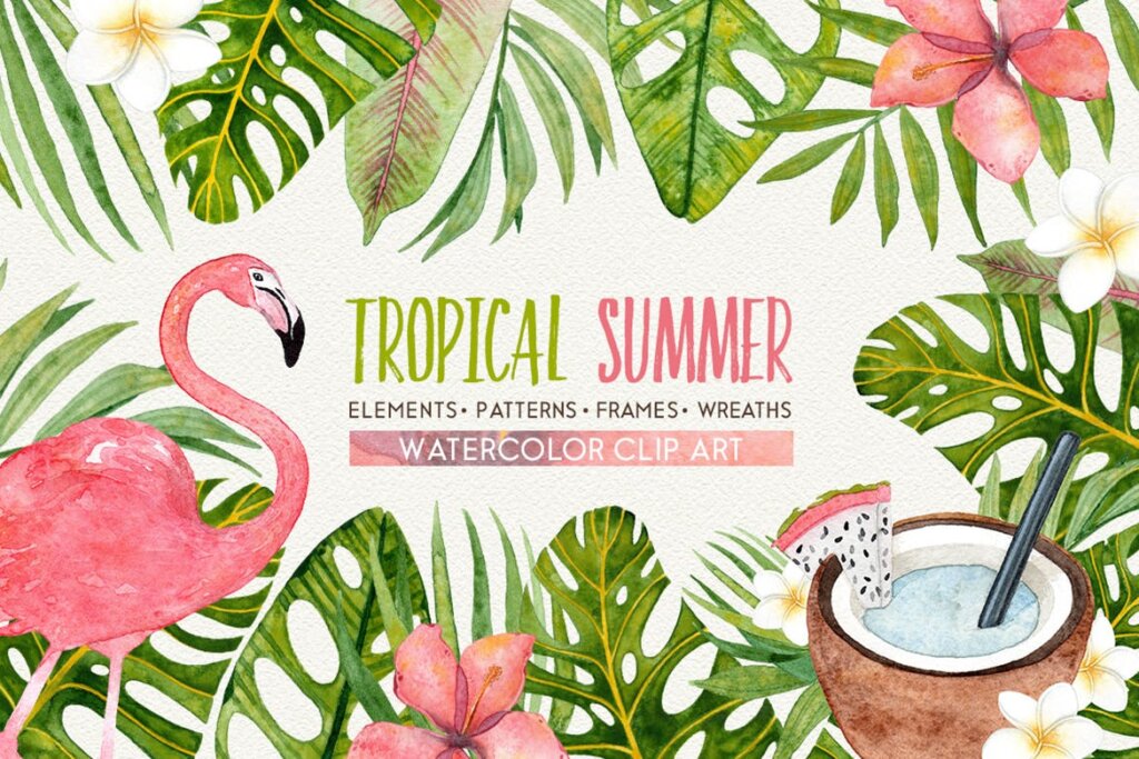 热带夏季水彩画集/绿植概念品牌包装图案素材TROPICAL SUMMER watercolor set