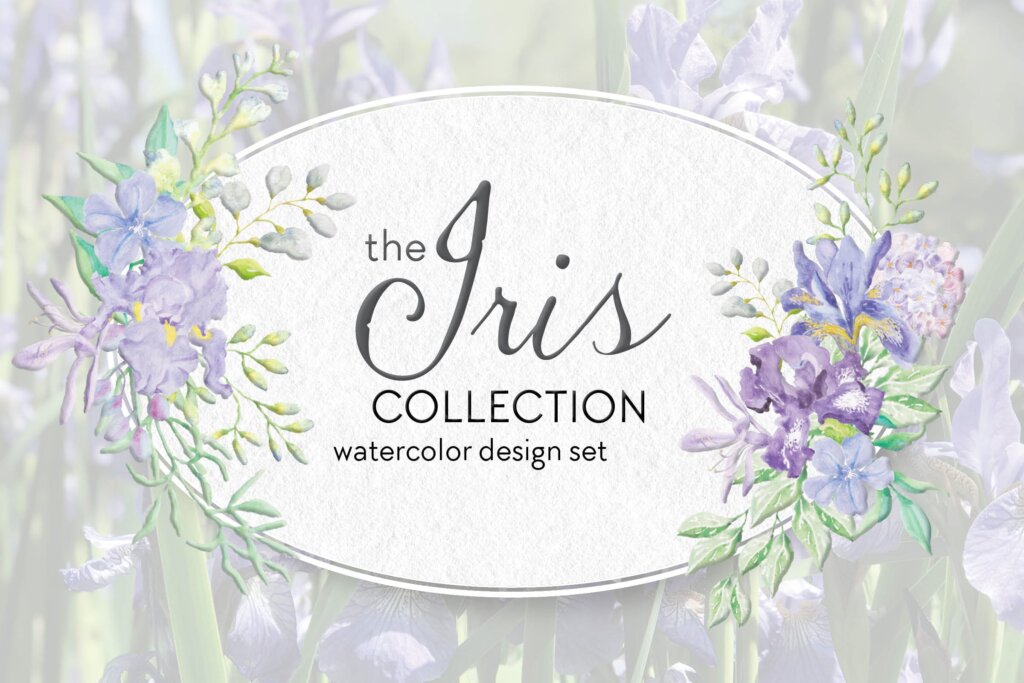 薰衣草装饰图案花纹/洗化用品装饰图案纹理素材The Iris Collection Watercolor Clip Art Bundle