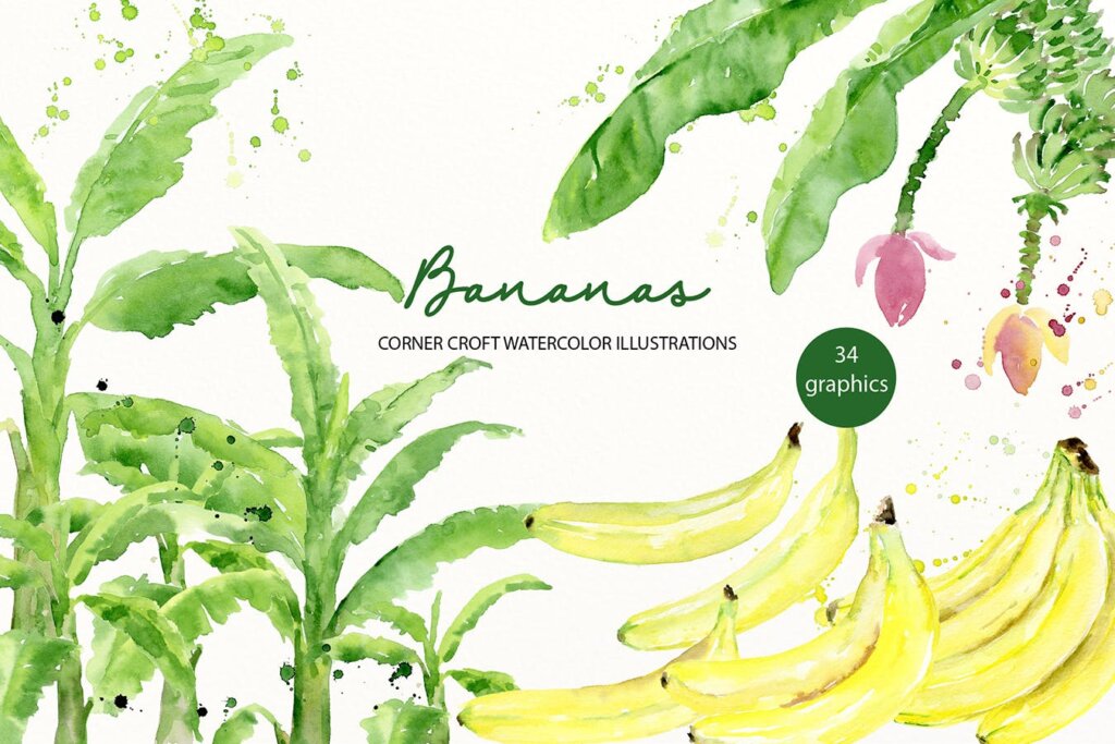 香蕉水彩插图香蕉叶装饰图案纹理素材模版下载Watercolor Banana Illustration