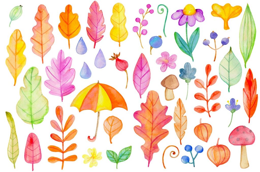 手绘水彩秋季花卉图形元素装饰图案纹理下载Fall Colors Watercolor Design Kit插图9