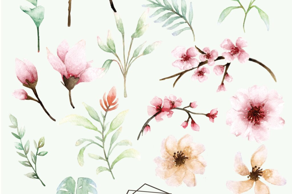 粉红色的花-樱花水彩集Pink Floral Sakura Watercolor Set插图9