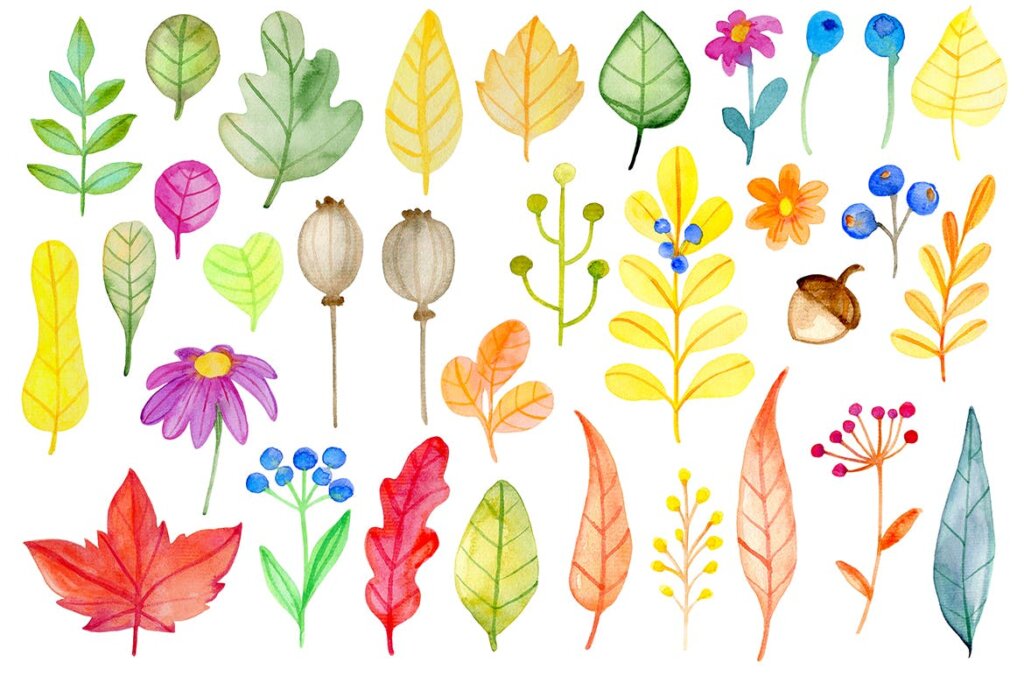 手绘水彩秋季花卉图形元素装饰图案纹理下载Fall Colors Watercolor Design Kit插图10