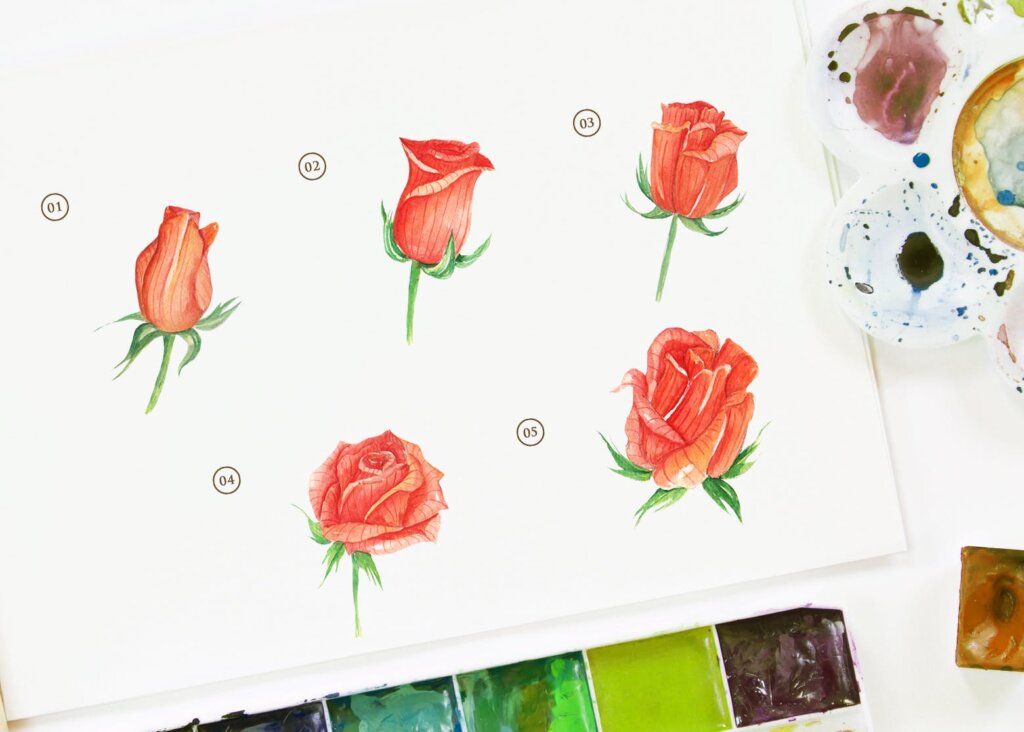 15个水彩玫瑰花插图装饰图案素材下载15 Watercolor Rose Orange Flower Illustration插图1