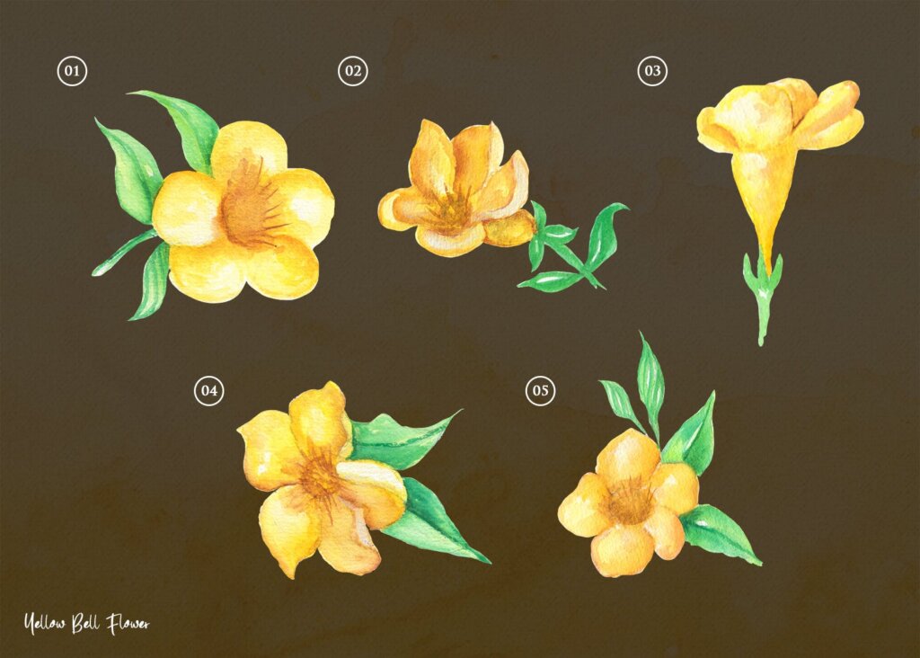 15个装饰图案花纹背景图案素材模版下载15 Watercolor Yellow bell Flower Illustration插图1