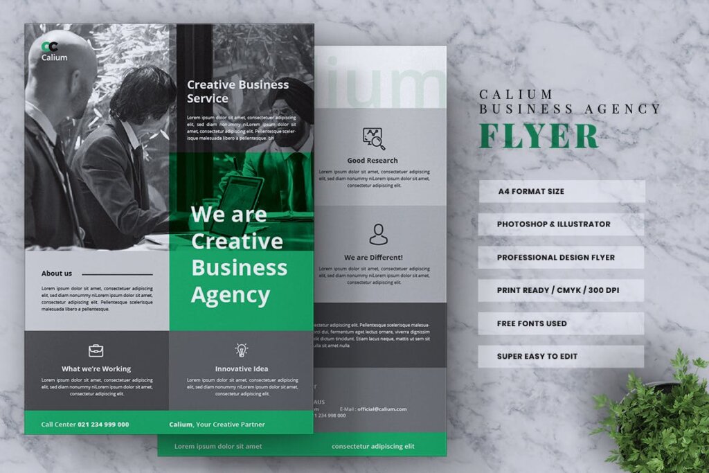 高端精致企业品牌宣传市场模版素材下载CALIUM Corporate Business Flyer插图1