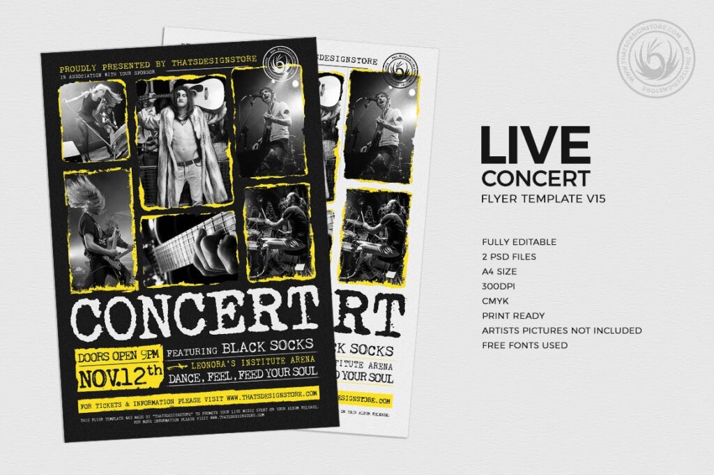 超燃音乐摇滚演唱会现场传单Live Concert Flyer Template V15插图1