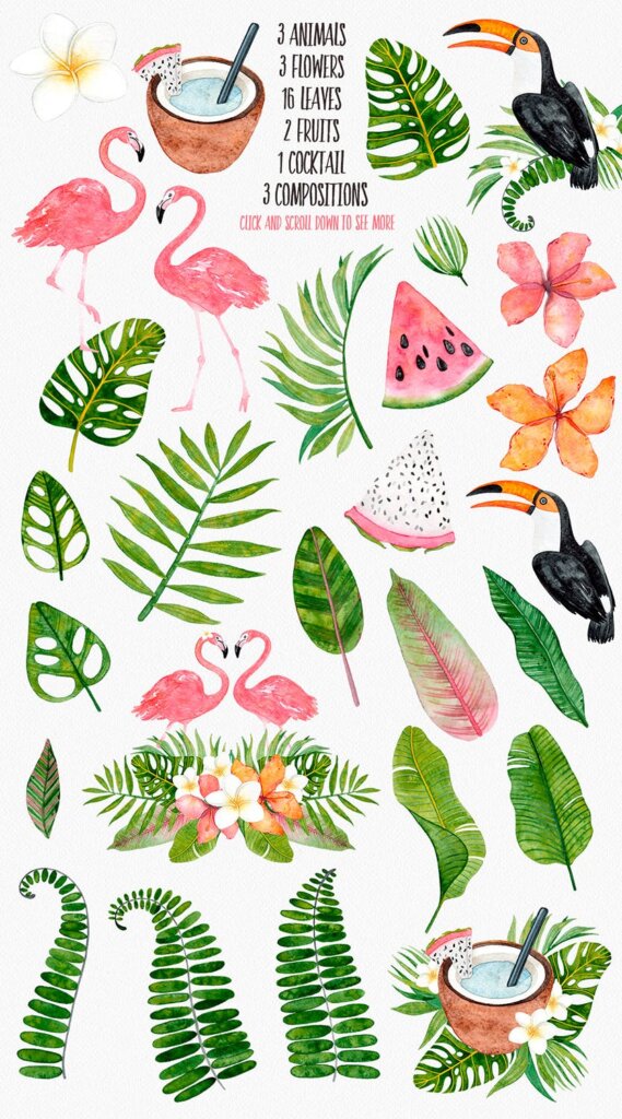 热带夏季水彩画集/绿植概念品牌包装图案素材TROPICAL SUMMER watercolor set插图1