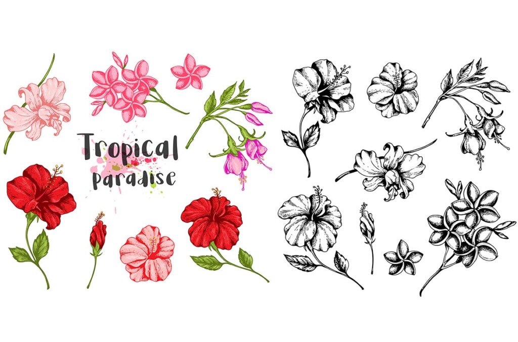 手绘矢量红色热带花卉设计元素装饰图案素材下载Tropical Flowers Design Kit插图1