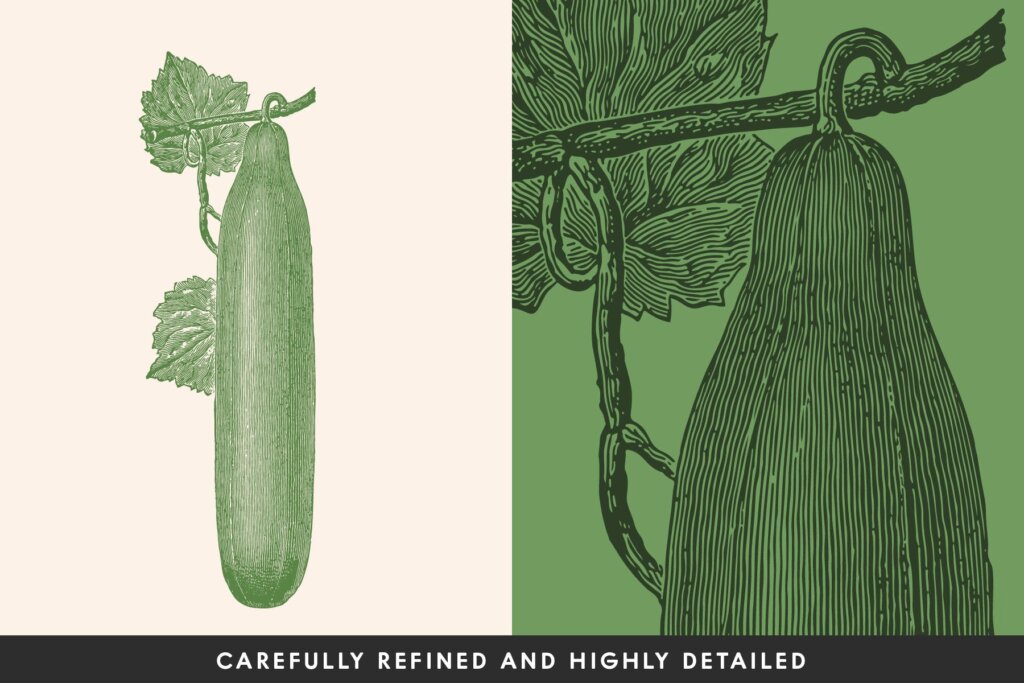 复古风手绘蔬菜图案纹理素材模板下载Vintage Vegetable Illustrations Vol 6插图1