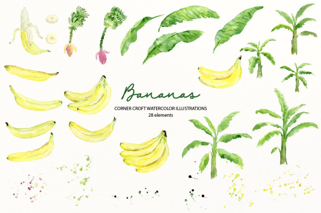 香蕉水彩插图香蕉叶装饰图案纹理素材模版下载Watercolor Banana Illustration插图1