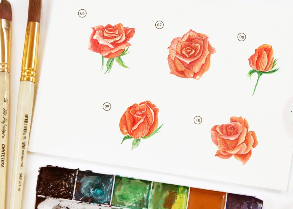 15个水彩玫瑰花插图装饰图案素材下载15 Watercolor Rose Orange Flower Illustration插图2