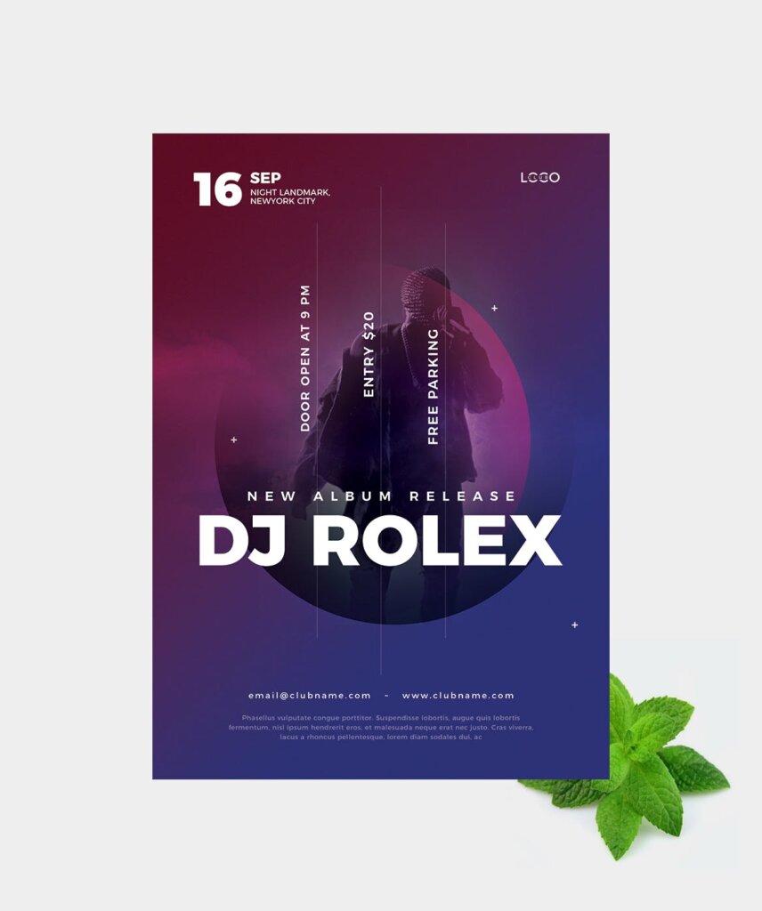 精致网格版式DJ音乐会传单海报传单DJ Concert Flyer PVW8NU插图2