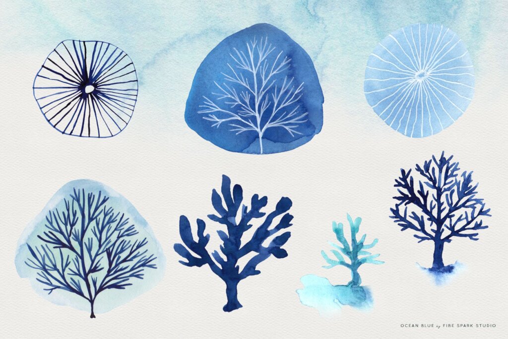 海洋动植物/海鲜品牌包装装装饰图案纹理素材Ocean Blue Watercolor Illustrations插图2