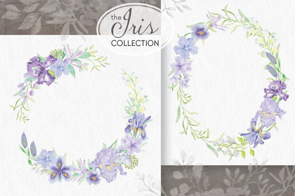 薰衣草装饰图案花纹/洗化用品装饰图案纹理素材The Iris Collection Watercolor Clip Art Bundle插图2