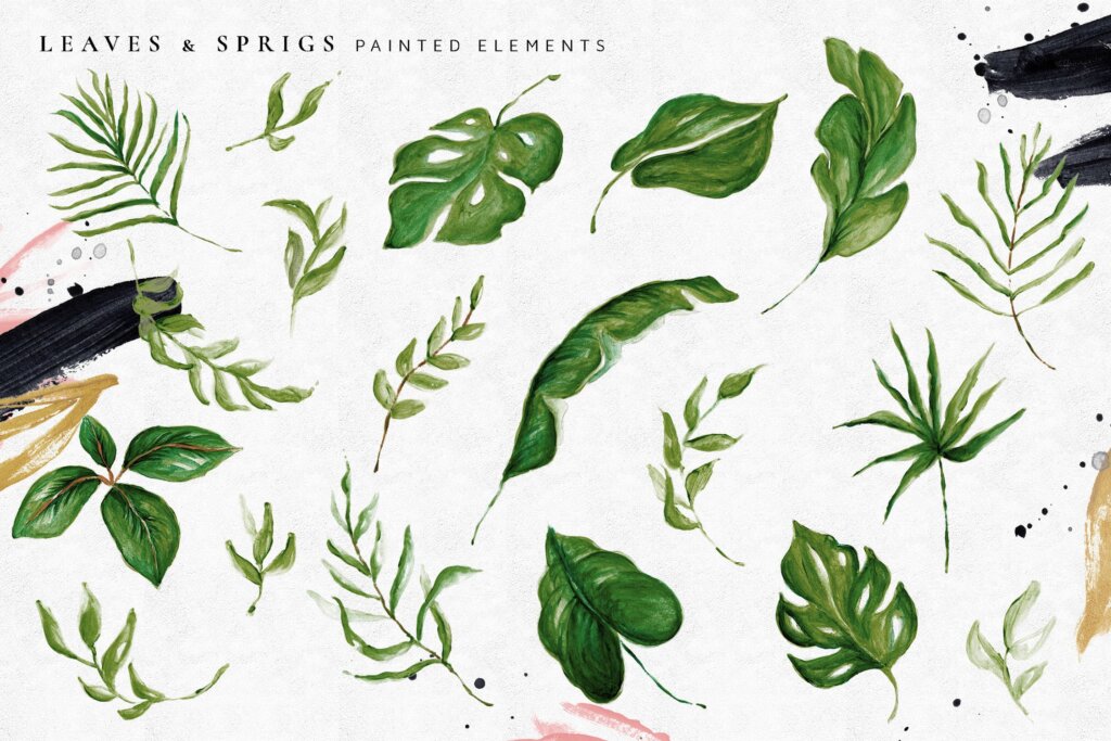 绿植创意字母/食品品牌装饰图案水彩纹理素材Tropical Foliage Illustration Pack插图2