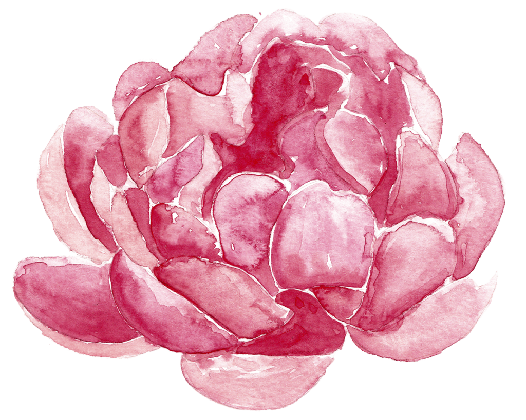 20个水彩分割剪贴画花卉Watercolor Peonies wreaths bouquets插图2