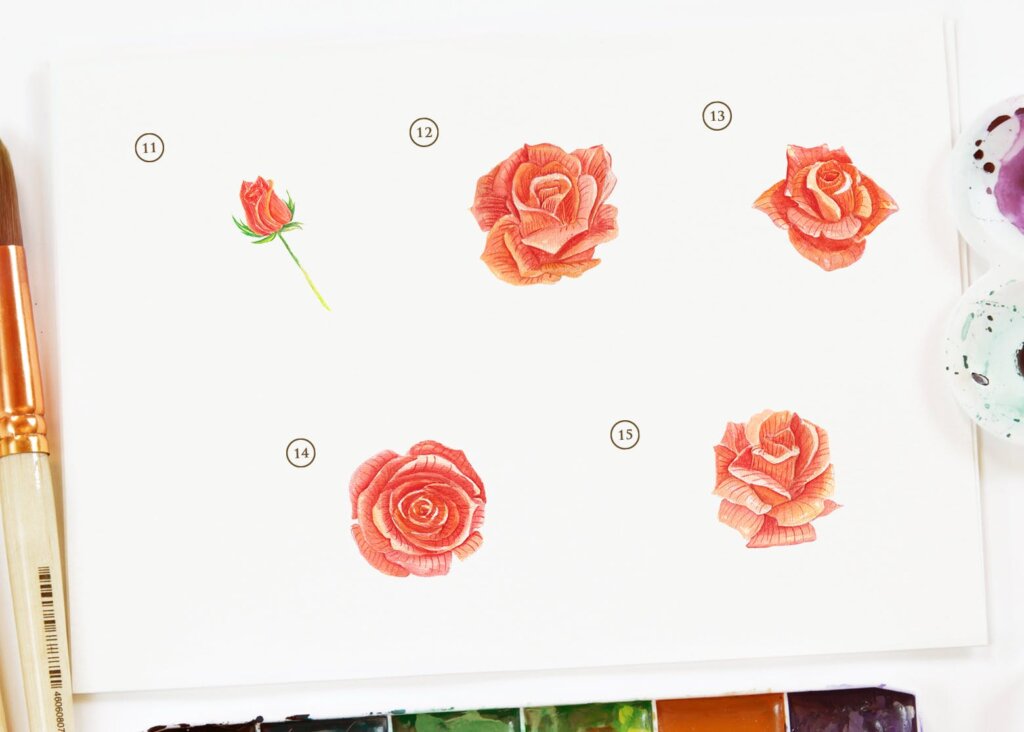 15个水彩玫瑰花插图装饰图案素材下载15 Watercolor Rose Orange Flower Illustration插图3