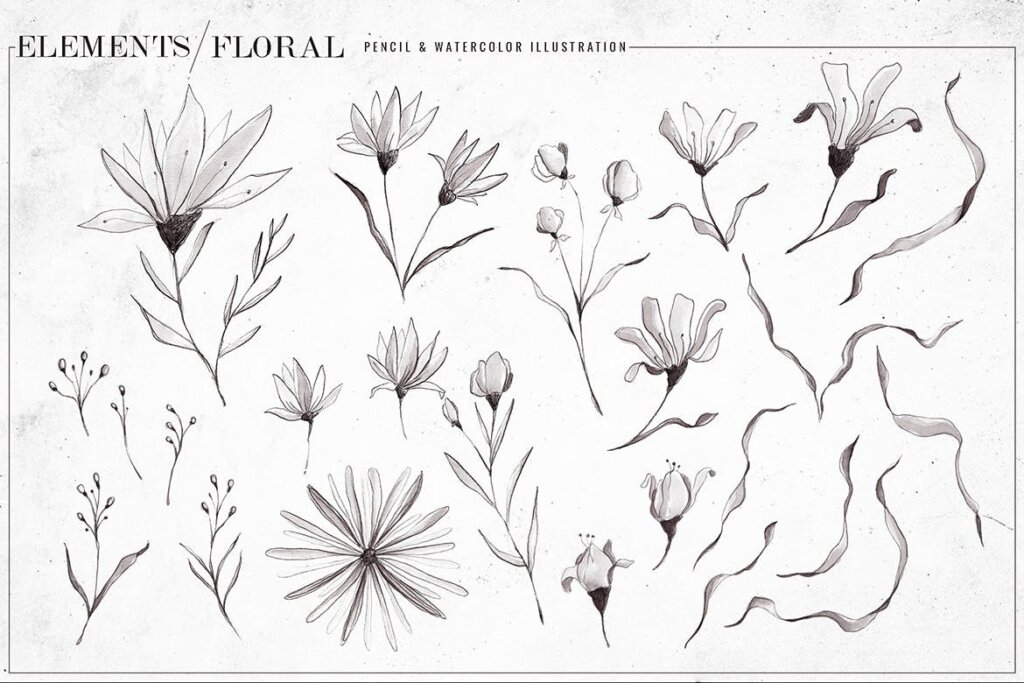 古典水彩风格混合铅笔纹理图案素材Black White Watercolor Floral插图3