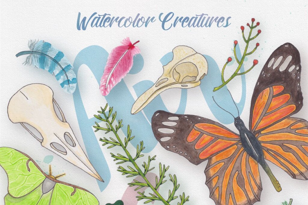 蝴蝶相关装饰图案纹理背景素材下载Watercolor Creatures vol. 2插图3