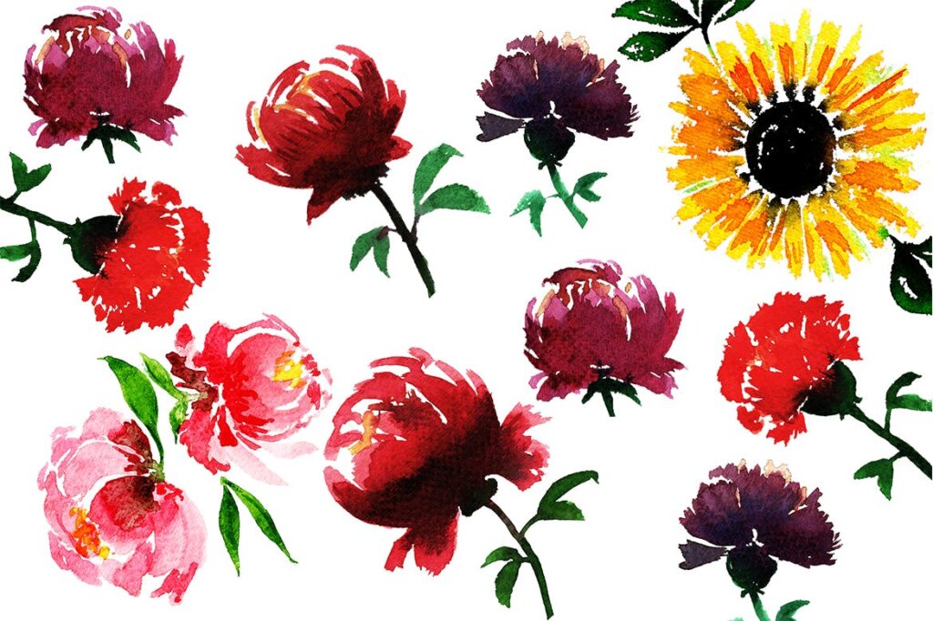 手绘花朵/菊花/向日葵装饰图案纹理元素Watercolor Flowers Floral Elements插图3