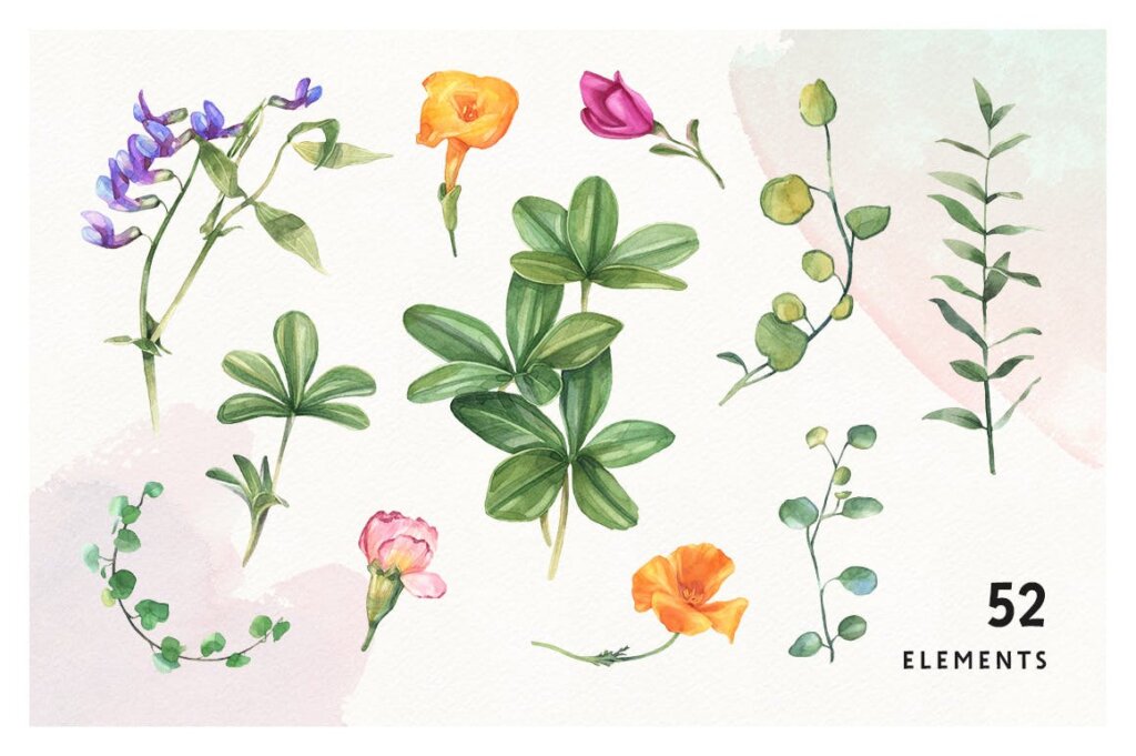 夏季自然场景装饰图案纹理素材Summer Bloom vol.2插图4