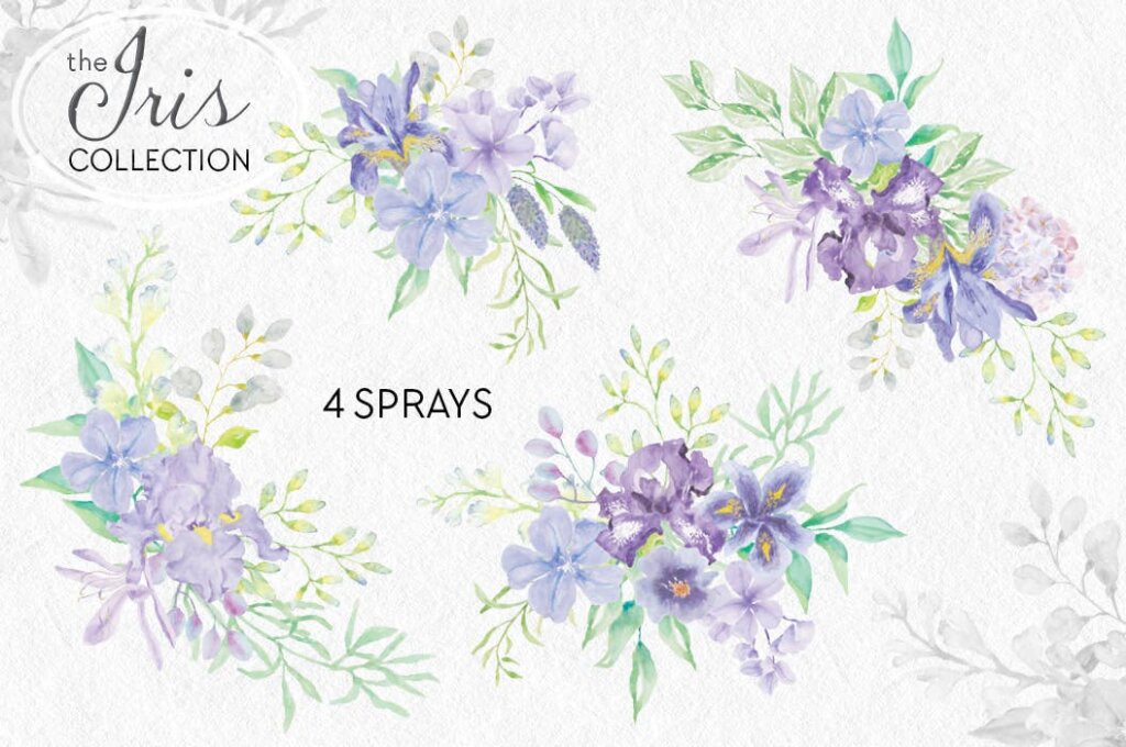 薰衣草装饰图案花纹/洗化用品装饰图案纹理素材The Iris Collection Watercolor Clip Art Bundle插图4