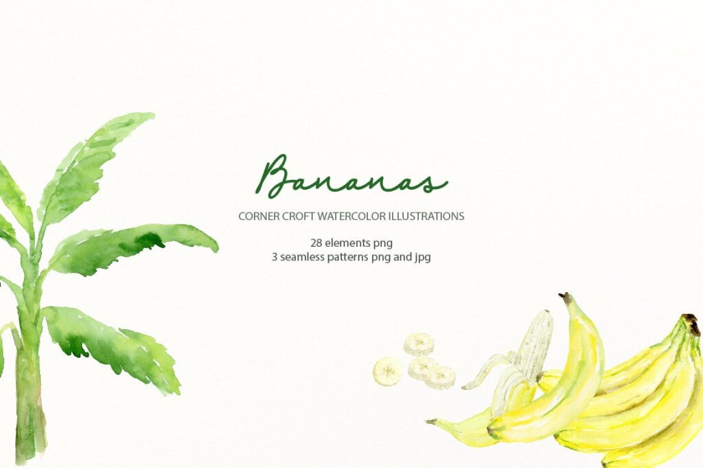 香蕉水彩插图香蕉叶装饰图案纹理素材模版下载Watercolor Banana Illustration插图4