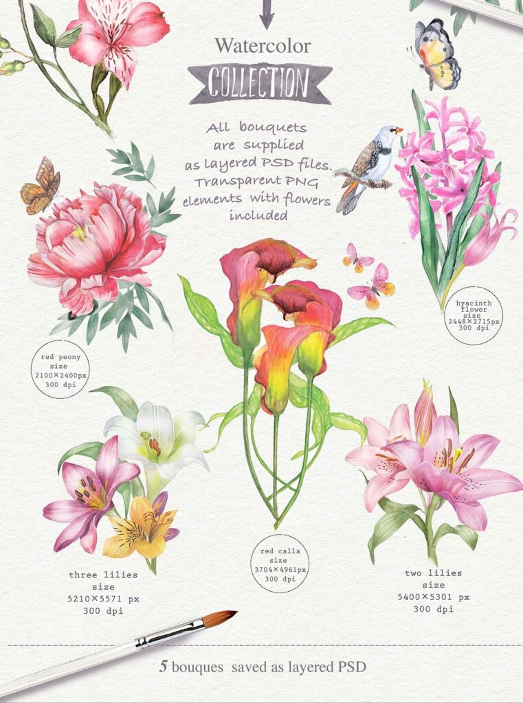 20种美丽精致的手绘花卉图案素材模版下载Blossom bouquets ZB3RNU插图5