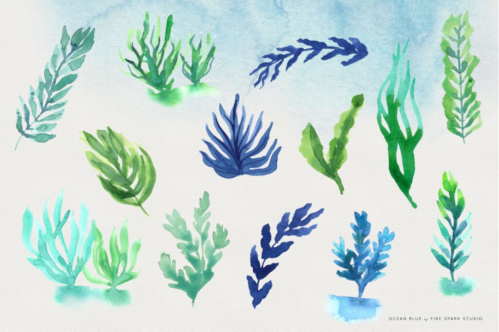 海洋动植物/海鲜品牌包装装装饰图案纹理素材Ocean Blue Watercolor Illustrations插图5