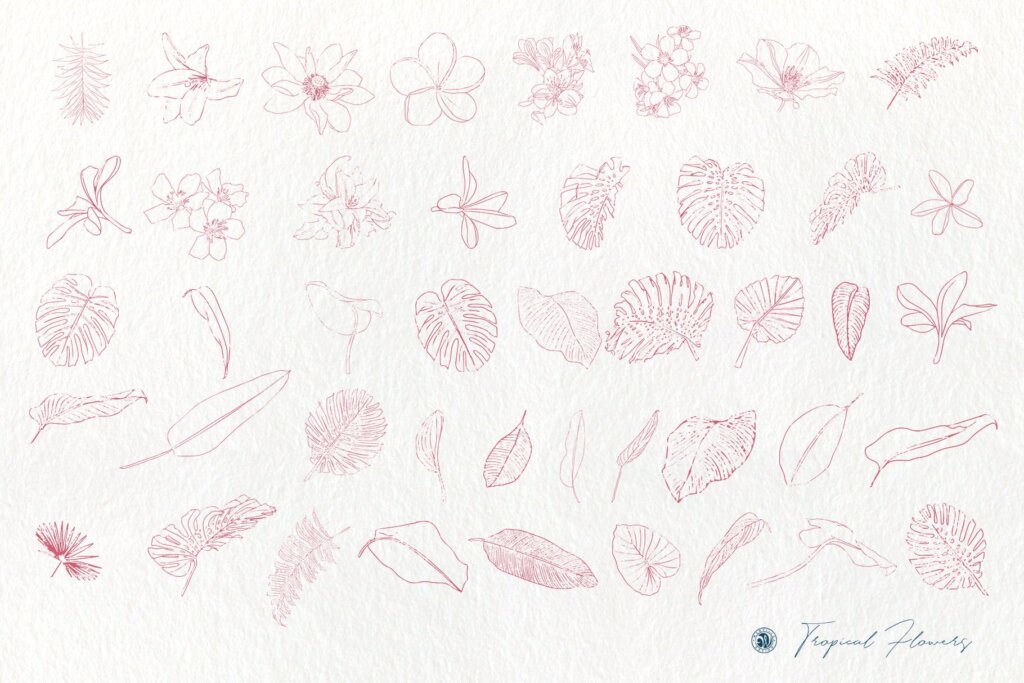 热带花卉插花装饰图案纹理素材下载Tropical Flowers插图5