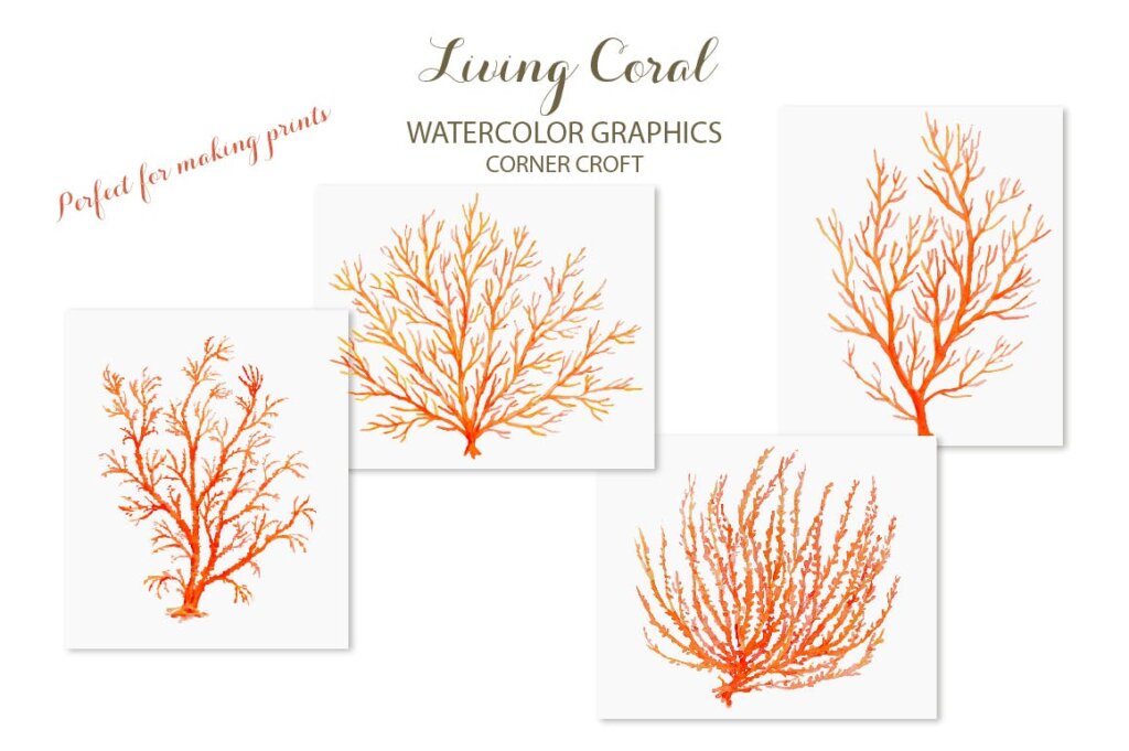 海洋动植物水彩剪纸活珊瑚装饰图案纹理素材Watercolor clipart living Coral插图6