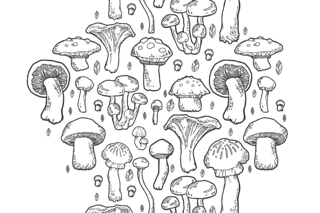 野生菌种图案纹理素材合集素材下载Mushroom handdrawn pattern插图3